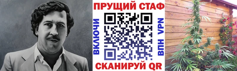 Как найти наркотики Междуреченск A PVP  Псилоцибиновые грибы  Каннабис  COCAIN  ГАШИШ 