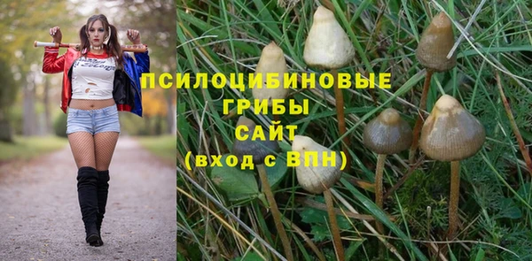 первитин Алексин