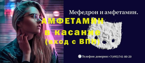 стаф Алзамай