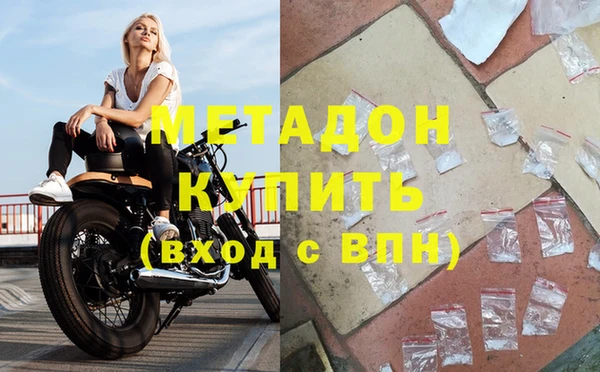 стаф Алзамай