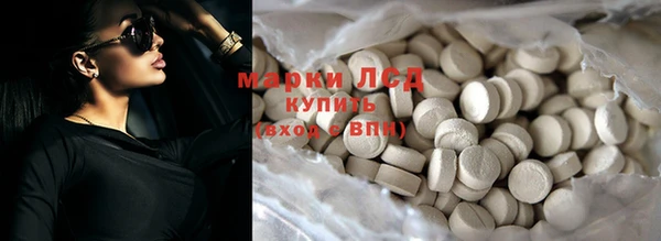 стаф Алзамай