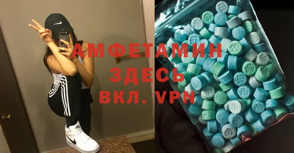 стаф Алзамай