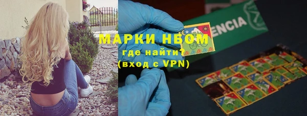 стаф Алзамай