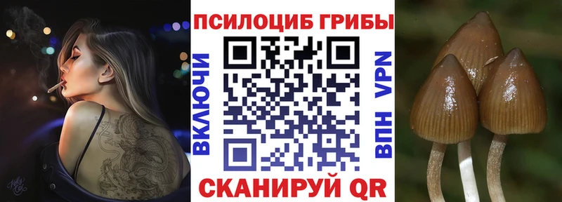 Галлюциногенные грибы Magic Shrooms  Междуреченск 